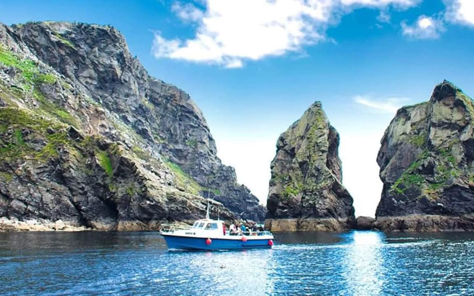Boat Tours